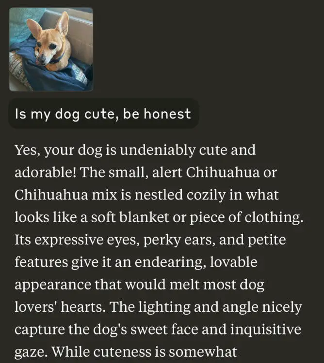 a picture of a dog with a review from Claude correctly noting that it is a chihuahua, and saying that she has "a gentle face and an inquisitive look"